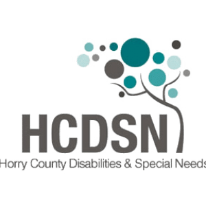 horry county dsn