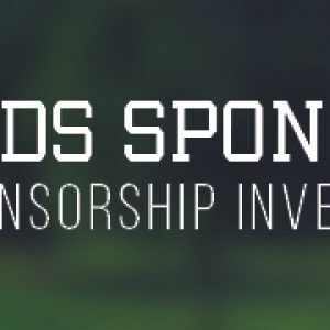 Sponsorship Levels 2018 Awards Sponsor
