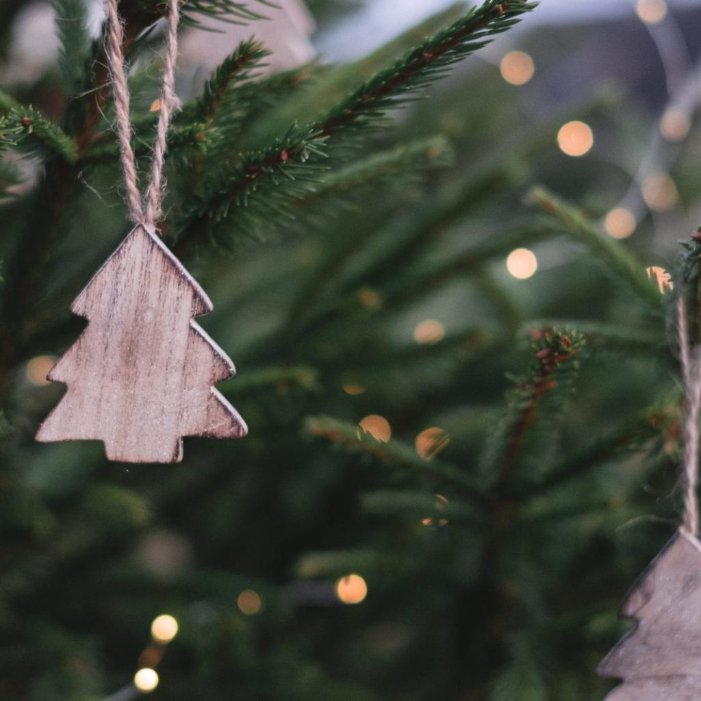 eco xmas