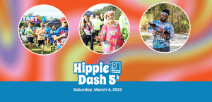 copy of hippie dash 2